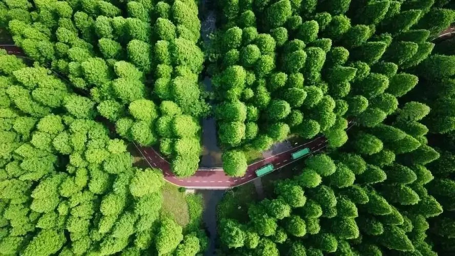智能林业技术创新:打造数字化智慧林场_北斗产业资讯平台-千寻位置