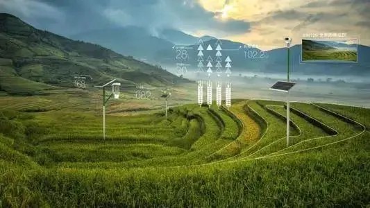 农机自动导航插秧机:提高农作物种植效率的利器_北斗产业资讯平台-千寻位置