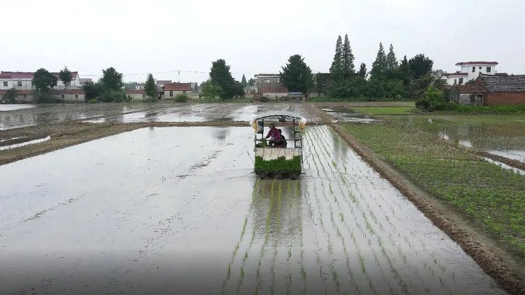 全国农牧渔业丰收奖评选揭晓，千寻位置上榜