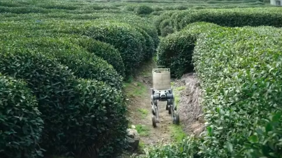 SpatiX High-Accuracy Positioning Supports the Future of Smart Agriculture